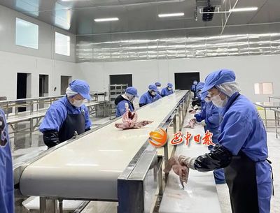 巴中&ldquo;全&rdquo;拼图 | 按下&ldquo;快进键&rdquo; 奋战&ldquo;开门红&rdquo;