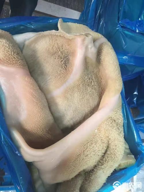 预包装调理牛肚冻品冷藏包装规范解析